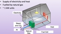 Scheme of mirco-CHP application in a household