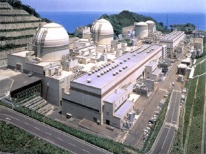 Rendering of Akkuyu nuclear plant