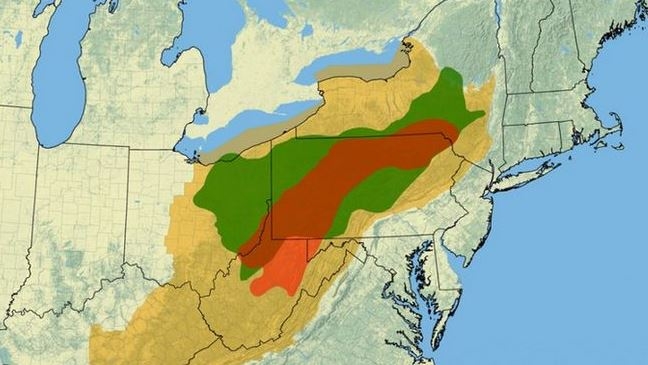The proposed plant will take advantage of cheap Marcellus Shale gas