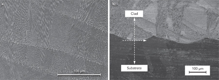 SEM observation of as-clad L-605