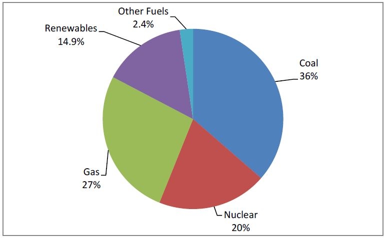 Electricity generation by fuel, 2013