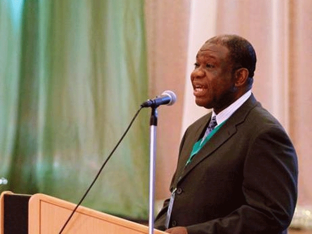 Power minister Chinedu Nebo announced the new plant at the weekend