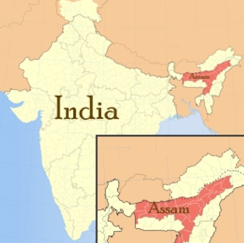Assam aims to produce power from associated gas