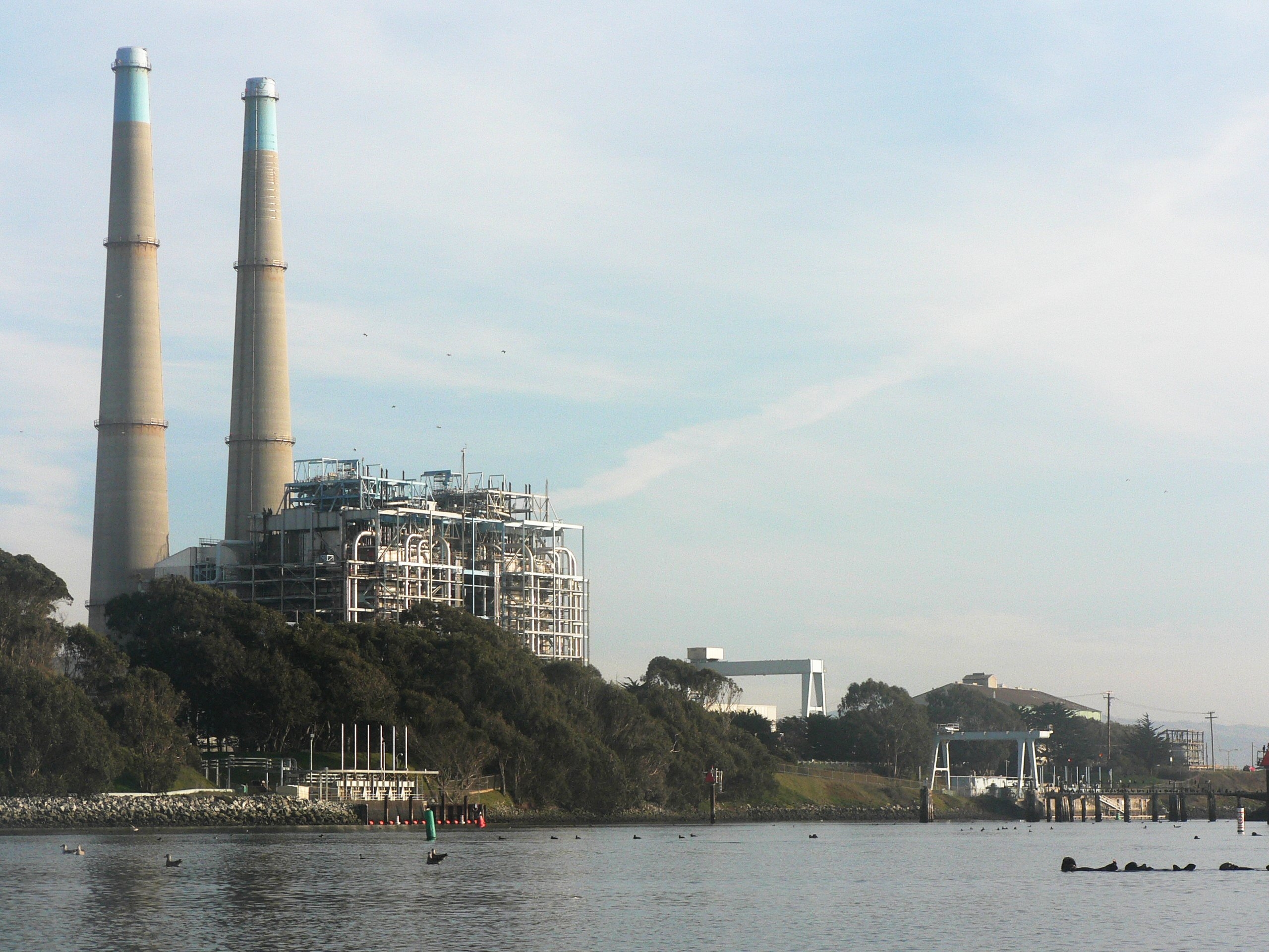 Gas power plants in California have ramped up to meet peak demand
