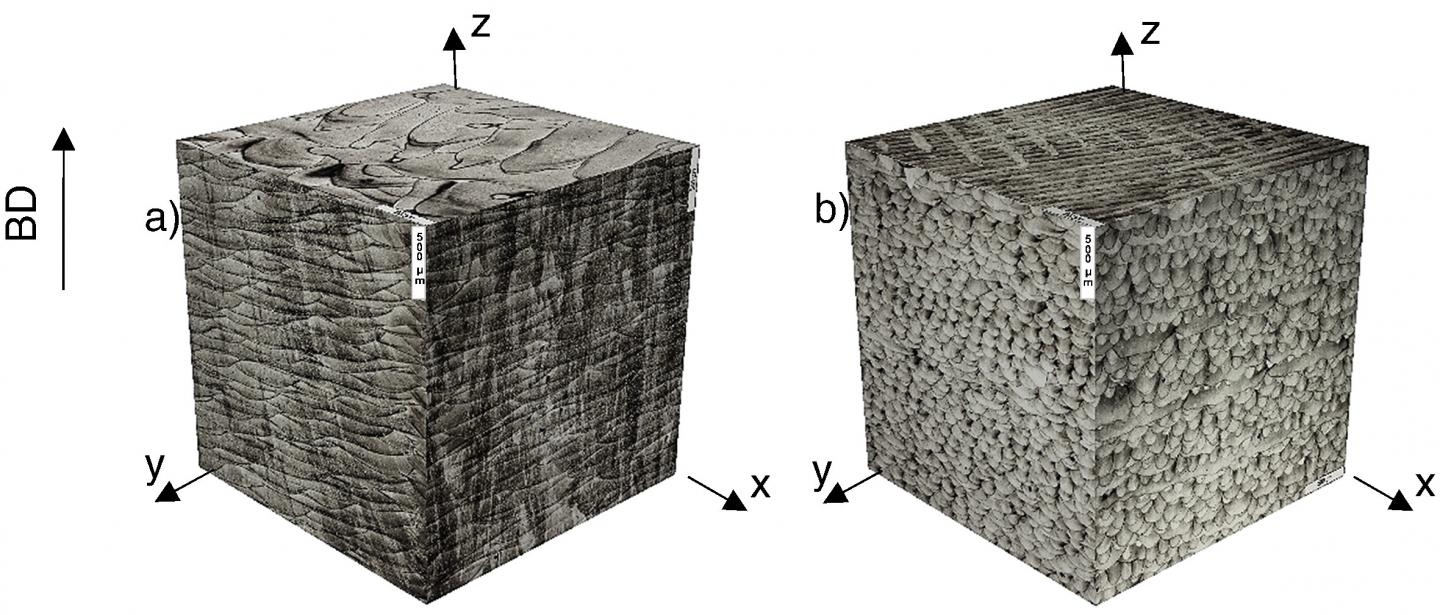 Gradient microstructure of the 3D printed material: picture credit SPbPU