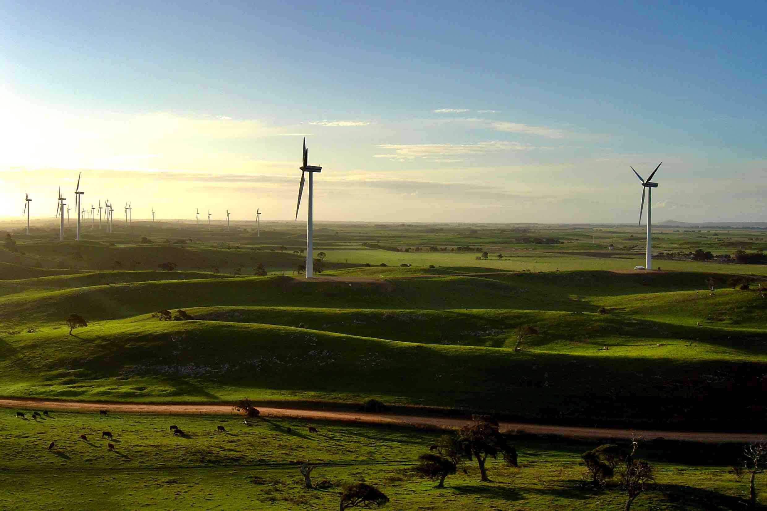 Infigens' Lake Bonney wind farm