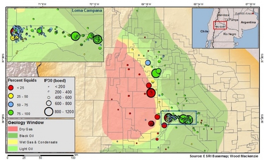 Geological map of Vaca Muerta Shale