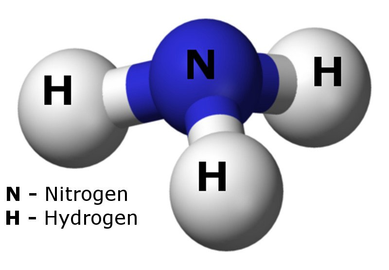 Ammonia molecule