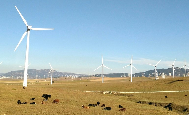 Wind farm in Kazakhstan